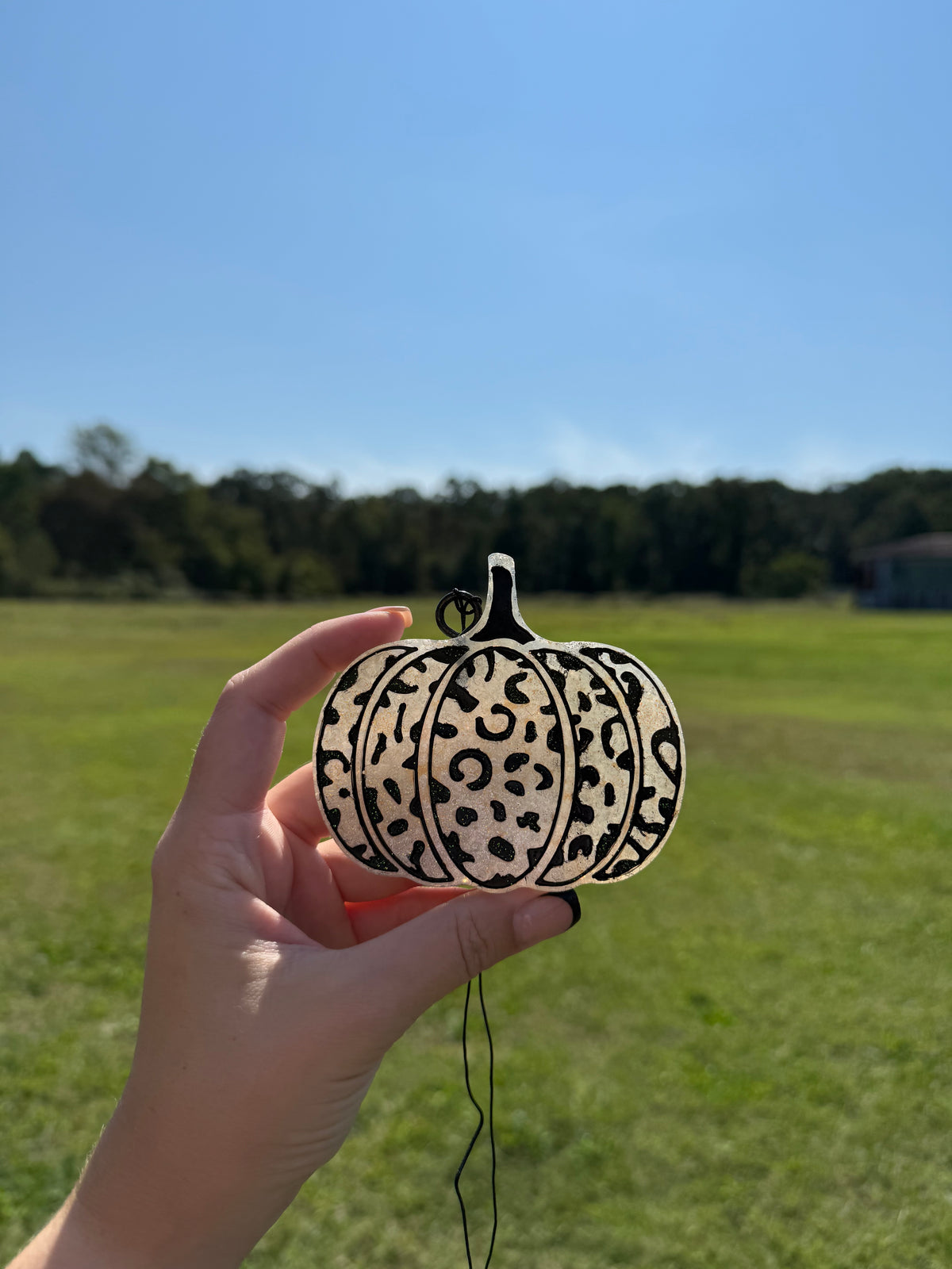 Cheetah Pumpkin Freshie PREORDER